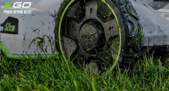 Best practice to keep your lawn healthy